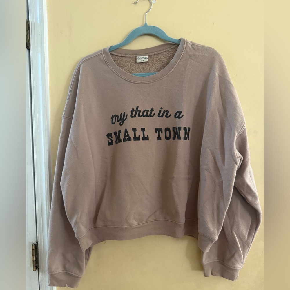 Oat Collective Graphic Sweatshirt in Dust, Large
